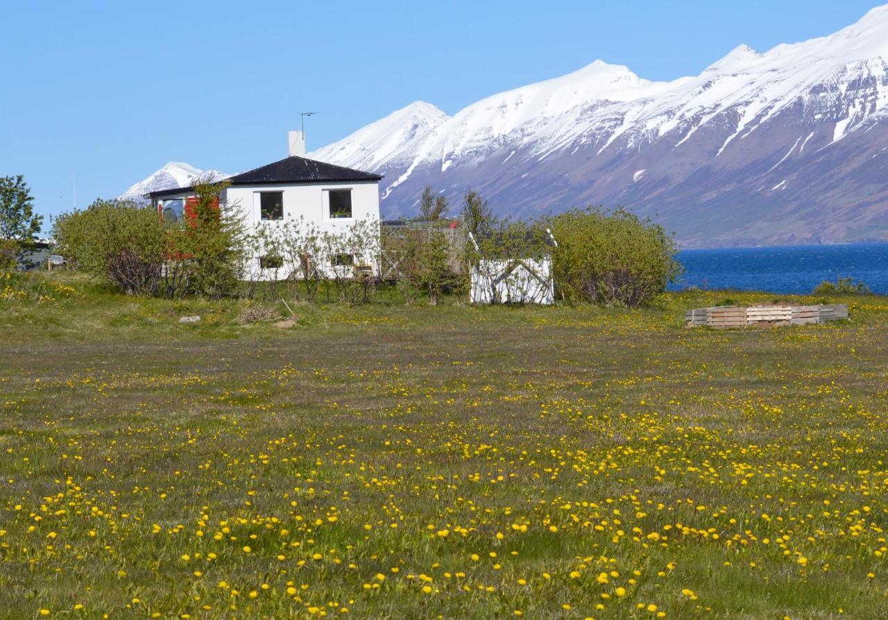 L&L Bnb - Stay'In Arbakki Arskogssandur Exterior foto