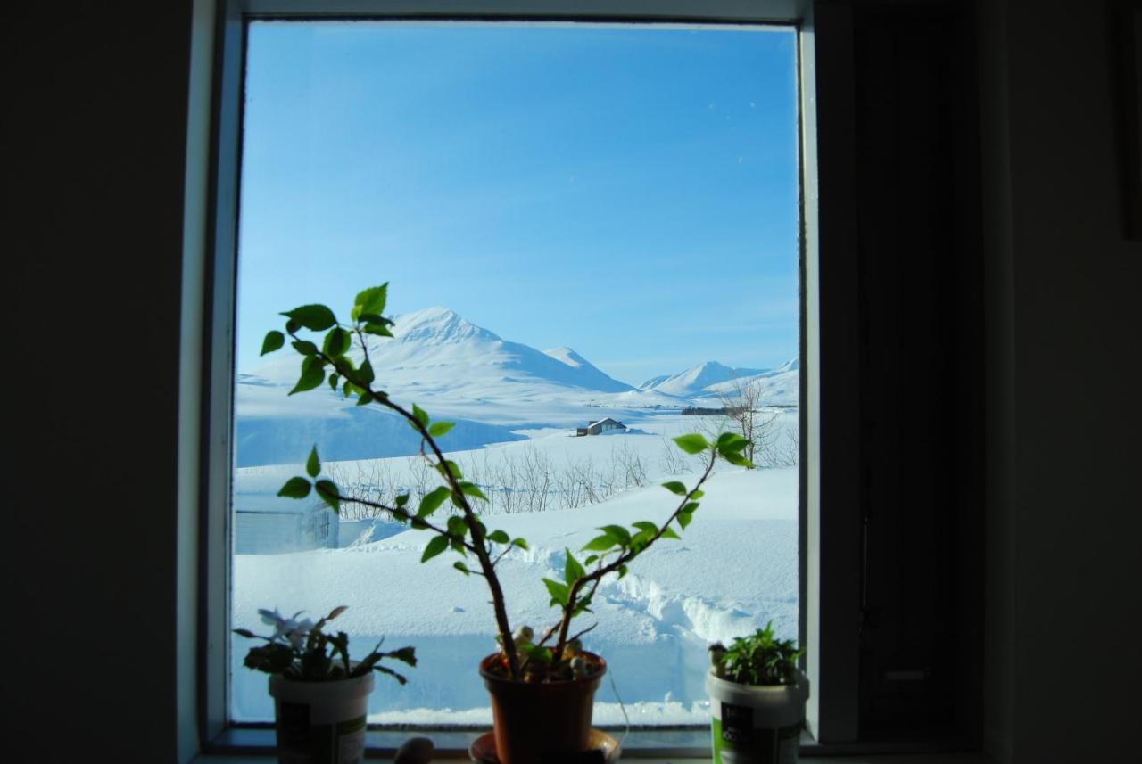 L&L Bnb - Stay'In Arbakki Arskogssandur Exterior foto
